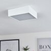 Netstal Plafoniera LED Bianco, 1-Luce