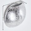 Concha Applique Bianco, 1-Luce