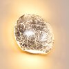 Concha Applique Bianco, 1-Luce