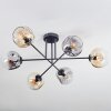 Ripoll Plafoniera, Lampada a sfera Ambrato, Chiaro, Grigio fumo, 6-Luci