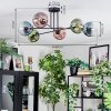 Gastor Plafoniera, Lampada a sfera 50 cm Blu, Verde, Chiaro, Ramato, 6-Luci