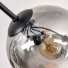 Gastor Plafoniera, Lampada a sfera Ambrato, Chiaro, Grigio fumo, 8-Luci