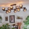 Koyoto Plafoniera, Lampada a sfera Chiaro, Grigio fumo, 10-Luci