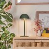 Laken Lampada da tavolo per esterno, Illuminazione bagno, Lampada da tavolo LED Verde, 1-Luce