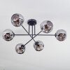 Ripoll Plafoniera, Lampada a sfera Grigio fumo, 6-Luci