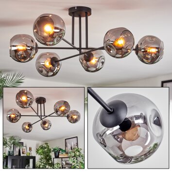 Ripoll Plafoniera, Lampada a sfera Grigio fumo, 6-Luci
