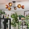 Ripoll Plafoniera, Lampada a sfera Cromo, Oro, Chiaro, Ramato, Grigio fumo, 6-Luci