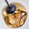 Ripoll Plafoniera, Lampada a sfera Blu, Oro, Verde, 6-Luci
