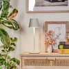 Salgadinho Lampada da tavolo per esterno, Lampada da tavolo LED Bianco, 1-Luce