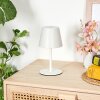 Salgadinho Lampada da tavolo per esterno, Lampada da tavolo LED Bianco, 1-Luce