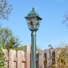 Naofe Lampione multibraccia, Illuminazione viale Verde, Nero, 1-Luce