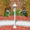 Naofe Illuminazione viale Bianco, 1-Luce