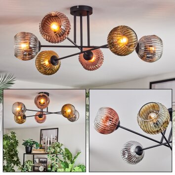 Ripoll Plafoniera, Lampada a sfera Cromo, Oro, Chiaro, Ramato, Grigio fumo, 6-Luci