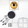 Koyoto Lampadario a sospensione, Lampada a sfera, Lampada a sospensione a cluster Oro, 4-Luci