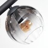 Koyoto Plafoniera, Lampada a sfera Ambrato, Chiaro, Grigio fumo, 8-Luci