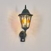 Hongkong Lampada da parete per esterno, Applique Verde, Nero, 1-Luce, Sensori di movimento