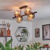 Koyoto Plafoniera, Lampada a sfera Ambrato, Chiaro, Grigio fumo, 8-Luci