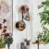Koyoto Lampada a sfera, Applique Oro, Chiaro, Ramato, Grigio fumo, 3-Luci
