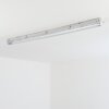 Ilena Plafoniera da esterno, Illuminazione esterna, Illuminazione bagno, Faro da cantiere, Plafoniera LED Grigio, 1-Luce