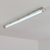Ilena Plafoniera da esterno, Illuminazione esterna, Illuminazione bagno, Faro da cantiere, Plafoniera LED Grigio, 1-Luce