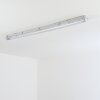 Ilena Plafoniera da esterno, Illuminazione esterna, Illuminazione bagno, Faro da cantiere, Plafoniera LED Grigio, 1-Luce