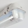 Ilena Illuminazione esterna, Illuminazione bagno, Plafoniera LED Grigio, 1-Luce