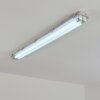 Ilena Plafoniera da esterno, Illuminazione esterna, Illuminazione bagno, Faro da cantiere, Plafoniera LED Grigio, 1-Luce