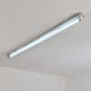 Ilena Plafoniera da esterno, Illuminazione esterna, Illuminazione bagno, Faro da cantiere, Plafoniera LED Grigio, 1-Luce