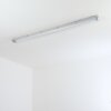 Ilena Plafoniera da esterno, Illuminazione esterna, Illuminazione bagno, Faro da cantiere, Plafoniera LED Grigio, 1-Luce