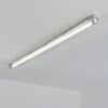 Ilena Plafoniera da esterno, Illuminazione esterna, Illuminazione bagno, Faro da cantiere, Plafoniera LED Grigio, 1-Luce