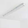 Ilena Plafoniera da esterno, Illuminazione esterna, Illuminazione bagno, Faro da cantiere, Plafoniera LED Grigio, 1-Luce