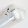 Ilena Plafoniera da esterno, Illuminazione esterna, Illuminazione bagno, Faro da cantiere, Plafoniera LED Grigio, 1-Luce