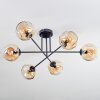 Ripoll Plafoniera, Lampada a sfera Ambrato, 6-Luci