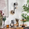 Koyoto Lampada a sfera, Applique Ambrato, Chiaro, Grigio fumo, 3-Luci