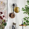 Ripoll Lampada a sfera, Applique Oro, Chiaro, Ramato, Grigio fumo, 3-Luci