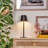Salgadinho Lampada da tavolo per esterno, Illuminazione bagno, Lampada da tavolo LED Nero, 1-Luce