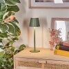 Salgadinho Lampada da tavolo per esterno, Illuminazione bagno, Lampada da tavolo LED Verde, 1-Luce