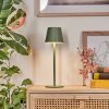 Salgadinho Lampada da tavolo per esterno, Illuminazione bagno, Lampada da tavolo LED Verde, 1-Luce