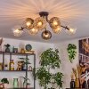 Koyoto Plafoniera, Lampada a sfera 85 cm Ambrato, Chiaro, Grigio fumo, 8-Luci
