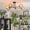 Koyoto Plafoniera, Lampada a sfera 78 cm Ambrato, 6-Luci