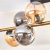 Gastor Plafoniera, Lampada a sfera Oro, Nero, 10-Luci