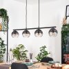 Koyoto Lampadario a sospensione, Lampada a sfera, Lampada a sospensione Chiaro, Grigio fumo, 4-Luci