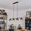 Koyoto Lampadario a sospensione, Lampada a sfera, Lampada a sospensione Chiaro, Grigio fumo, 4-Luci