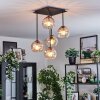 Koyoto Plafoniera, Lampada a sfera Ambrato, Chiaro, 5-Luci
