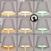 Salgadinho Lampada da tavolo per esterno, Lampada da tavolo LED Bianco, 1-Luce