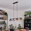 Gastor Lampadario a sospensione, Lampada a sfera, Lampada a sospensione Blu, Cromo, Verde, Chiaro, Ramato, Grigio fumo, 4-Luci