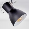 Farel Plafoniera, Faretto da soffitto Cromo, Nero, 3-Luci