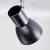 Farel Plafoniera, Faretto da soffitto Cromo, Nero, 3-Luci
