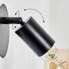 Geira Faretto da soffitto, Applique, Faretto da parete Nero, 1-Luce
