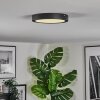 Isela Plafoniera LED Nero, 1-Luce